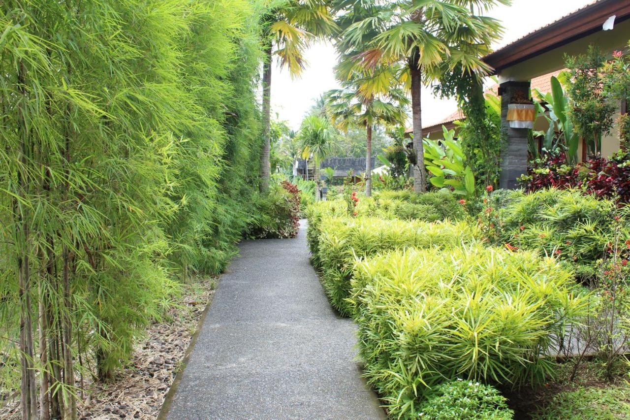 Darra Ria Villa Ubud Εξωτερικό φωτογραφία