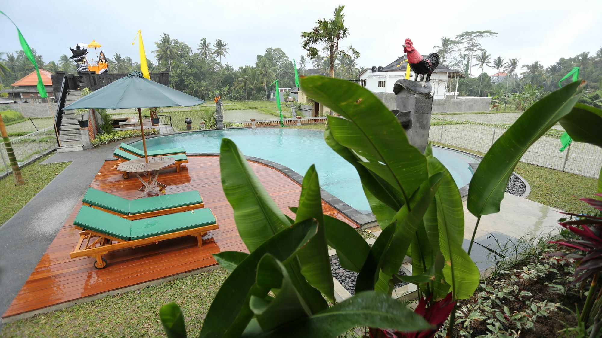 Darra Ria Villa Ubud Εξωτερικό φωτογραφία