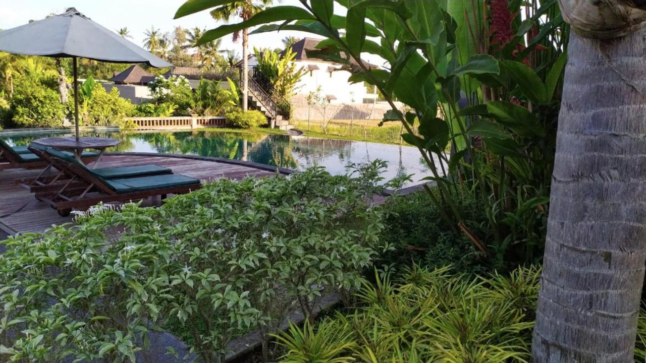 Darra Ria Villa Ubud Εξωτερικό φωτογραφία